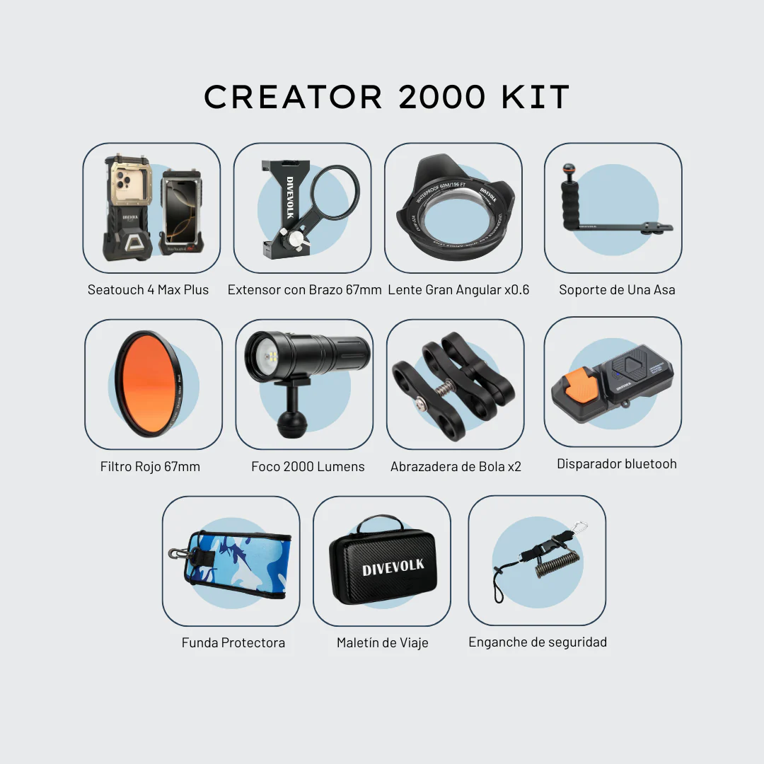 Contenido Creator 2000