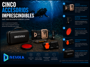 5 accesorios imprescindibles